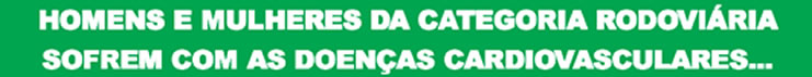 imagem3